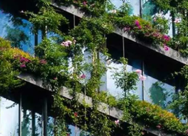 بنك التجاري ينظم حملة تشجير في غابات سجنان - بنزرت