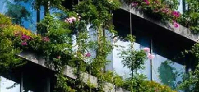 Attijari bank organise une action de reboisement dans les forêts de Sejnane - Bizerte